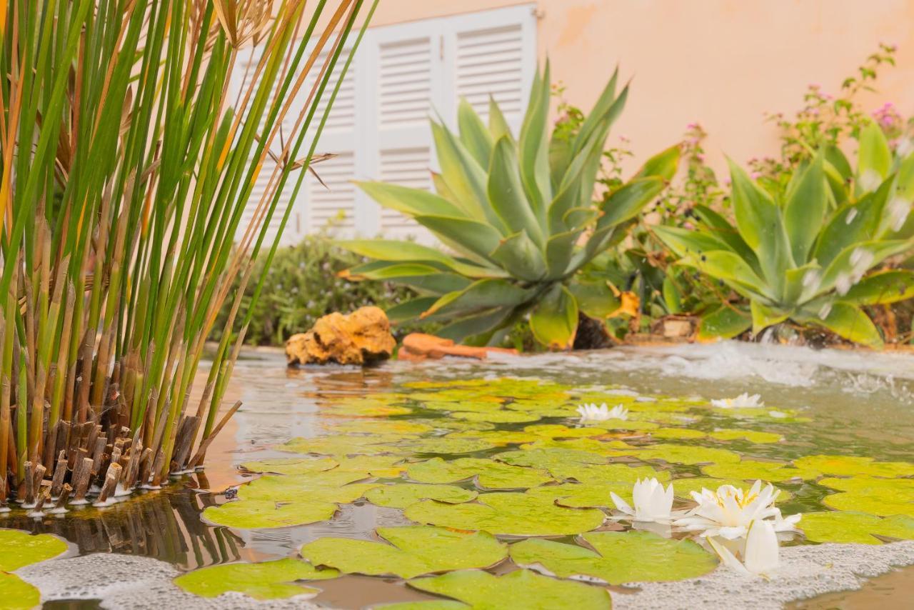 Villa Dolce Vita Porto Colom Exterior foto